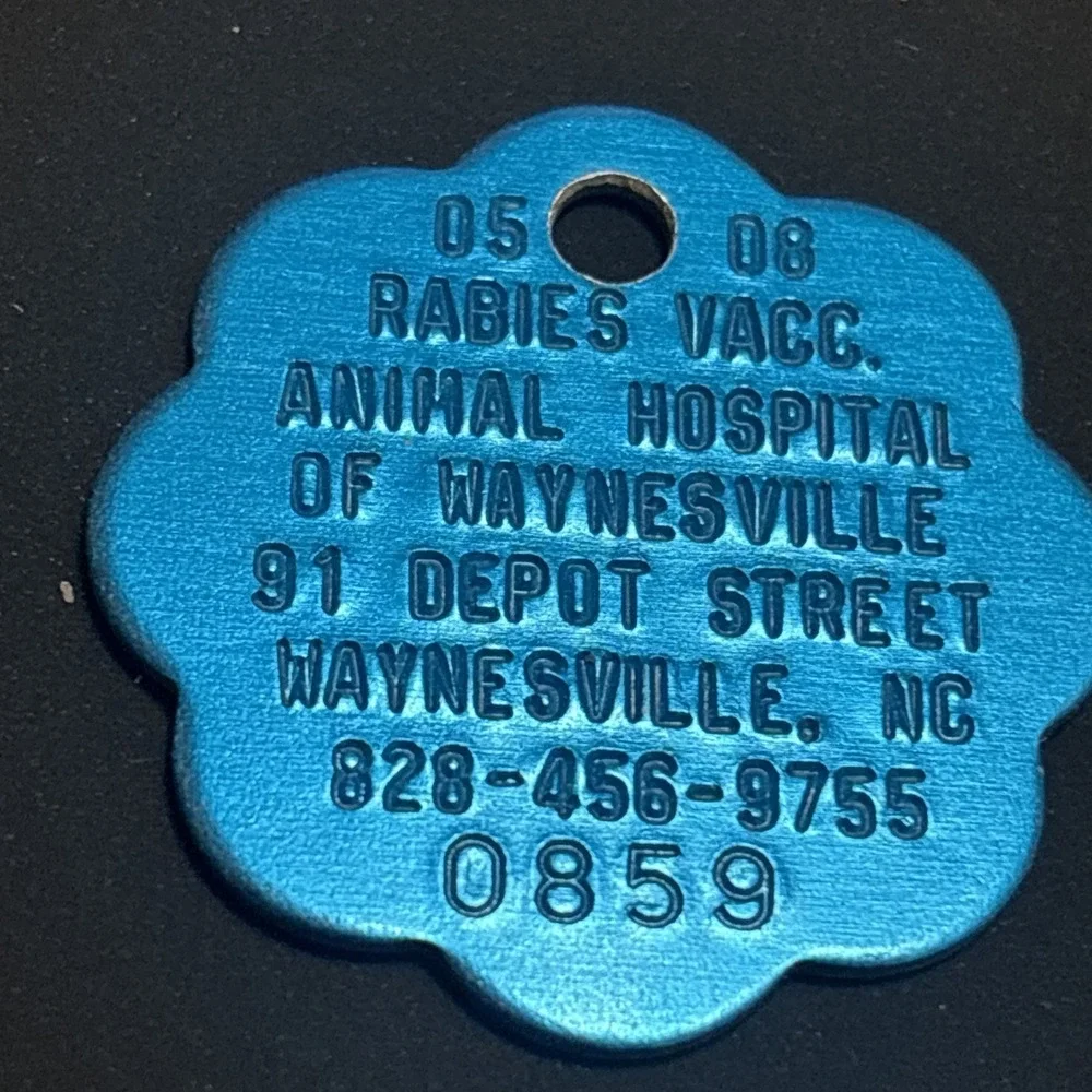 Vintage Dog Tags Lot of 5 AKC Rabies Vaccination Pet ID Eden NC Milk Bone